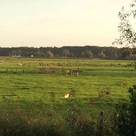 Haarlem 49-2